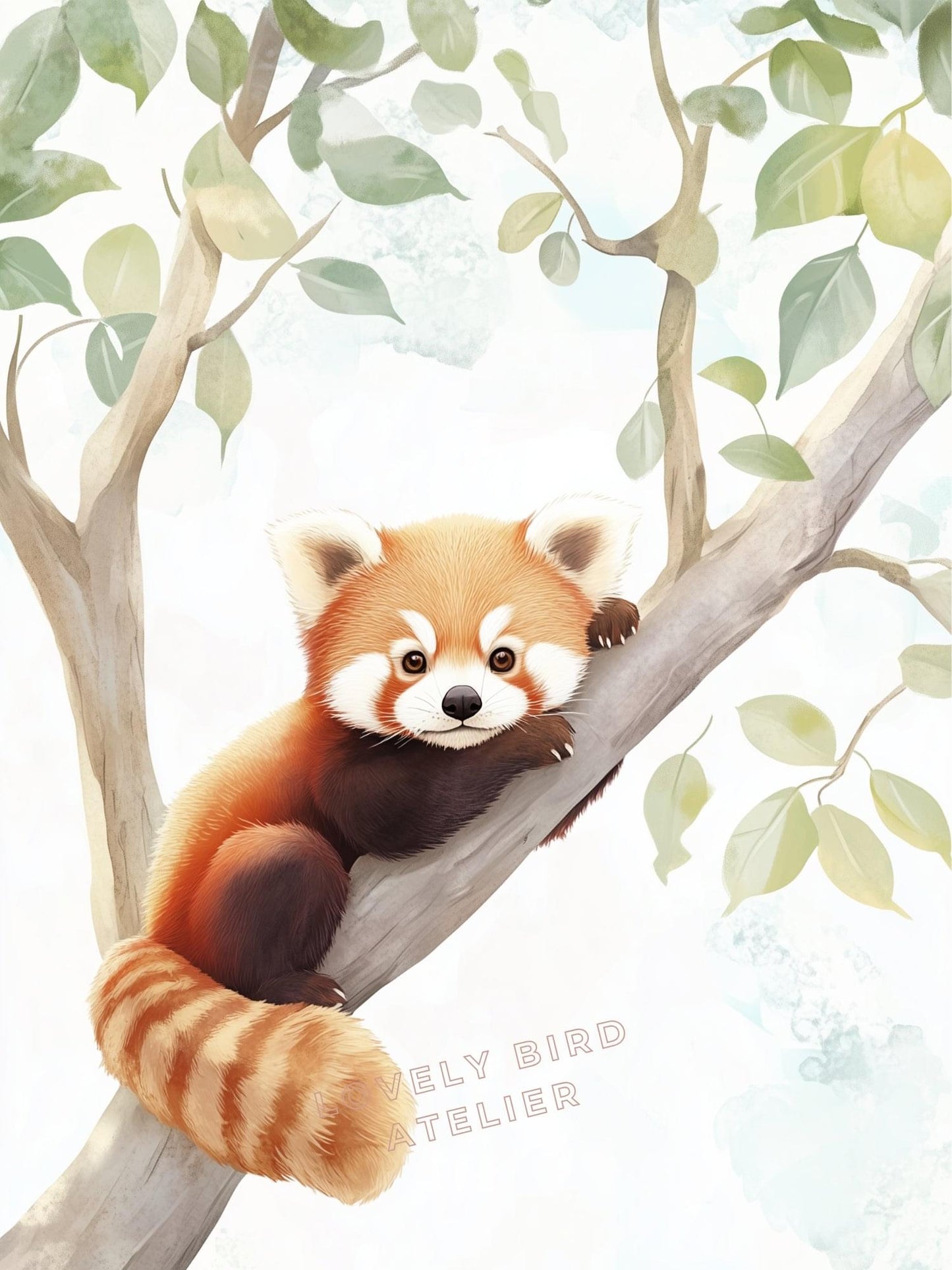 Affiche Petit Panda Roux décoration murale chambre bébé enfant.