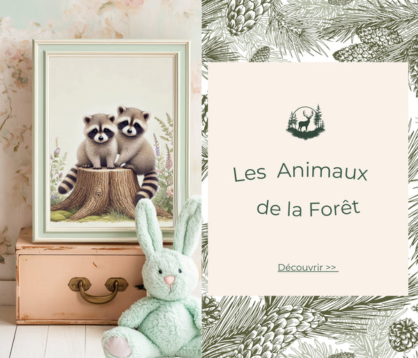 Les Animaux de la  Forêt 🌲