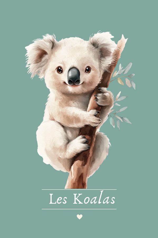Koalas