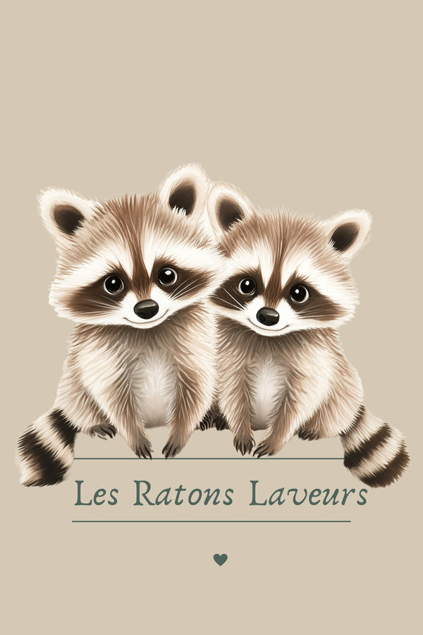 Ratons Laveurs