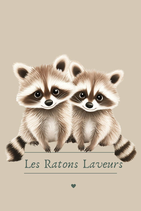 Ratons Laveurs