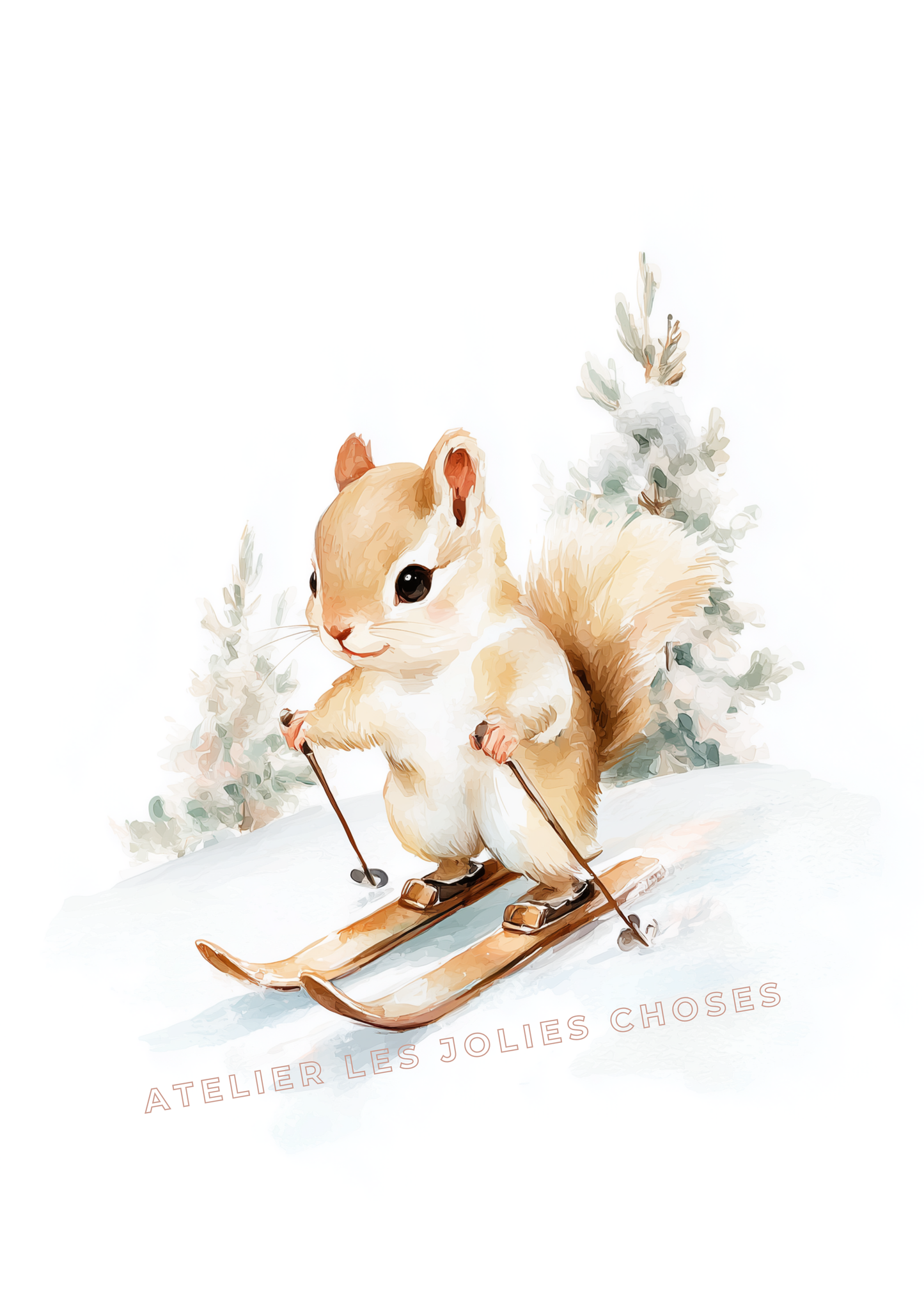 Illustration  – L’écureuil des neiges
