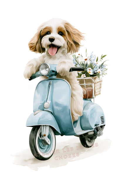 Affiche - Le petit chien en vadrouille