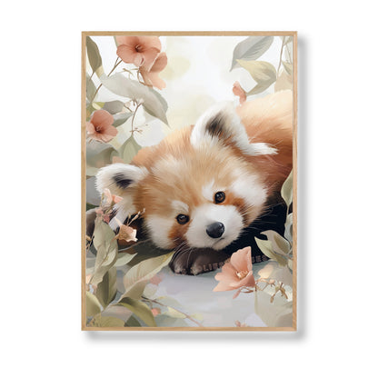 Affiche - Panda Roux Rêveur