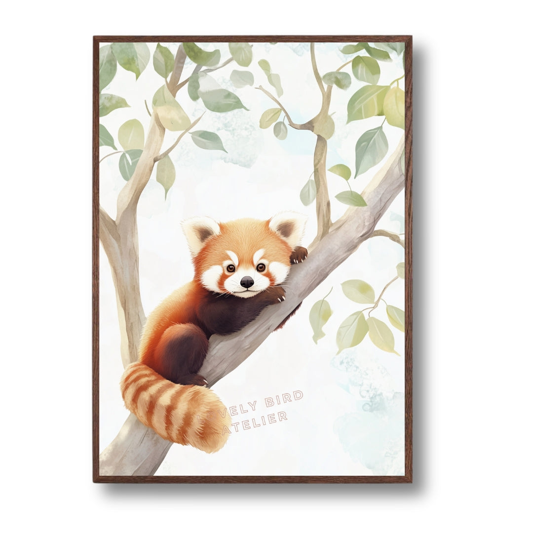 Affiche  Petit Panda Roux - Atelier Les Jolies Choses  