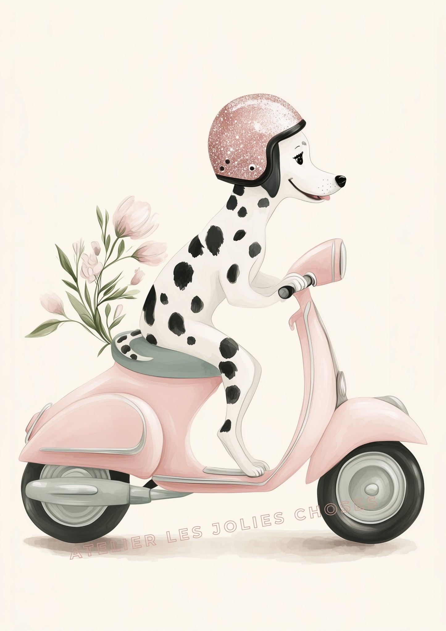 Dalmatien & Promenade Fleurie