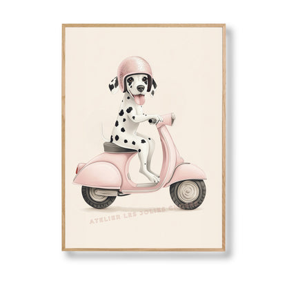 Dalmatien - Voyage en Rose