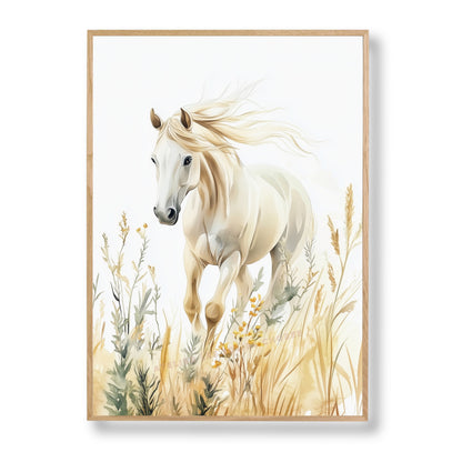 Illustration Cheval & Liberté - Atelier Les Jolies Choses  