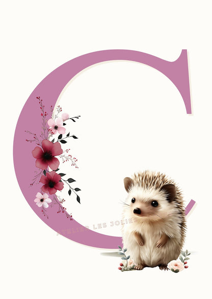 deco_chambre_bebe_product_name